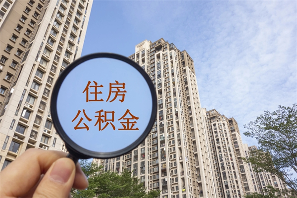 温县怎么取住房住房公积金（取住房公积金方法）